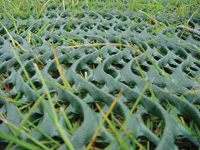 Grassprotecta Grass reinforcement Product