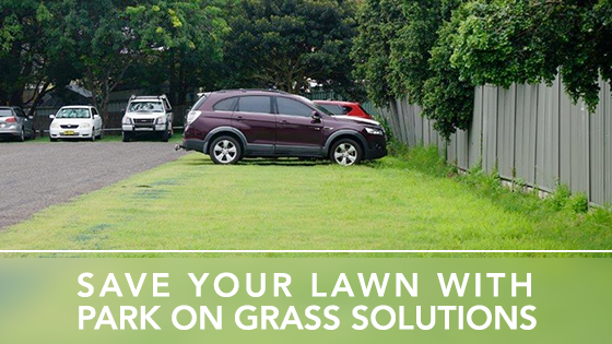 park on grass solutions