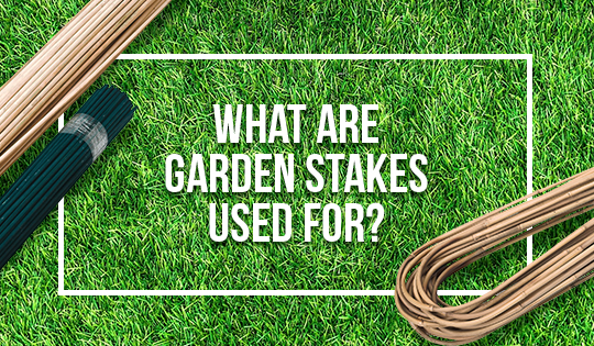 What are garden stakes used for? | All Stake Supply