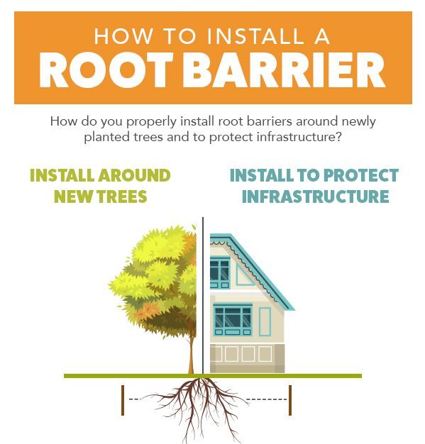root-barrier-installation