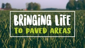 Bringing life to paved areas