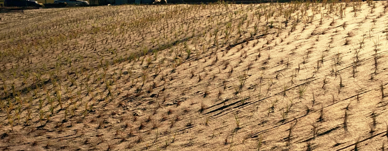What to consider before you start erosion control